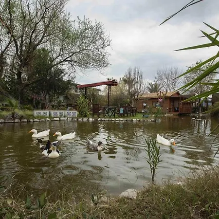 Otantik Tas Ev Bed & Breakfast Dalaman
