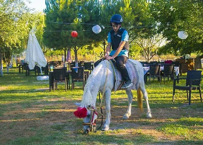 Otantik Tas Ev ベッド・アンド・ブレックファスト ダラマン