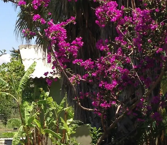 ベッド・アンド・ブレックファスト Otantik Tas Ev 3*