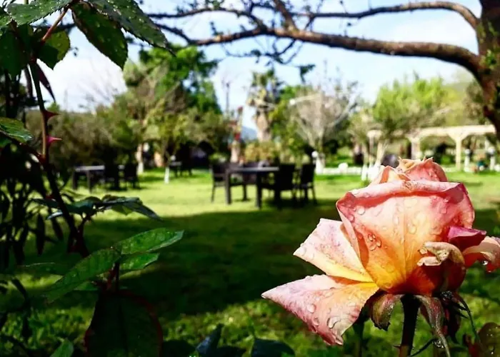 ベッド・アンド・ブレックファスト Otantik Tas Ev 3*