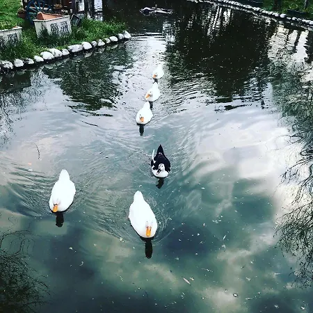 Panzió Otantik Tas Ev 3*