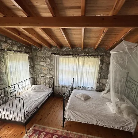 Otantik Tas Ev 3* Dalaman