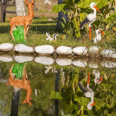 Bed and Breakfast Otantik Tas Ev 3*