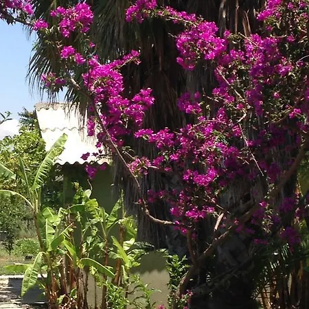 Panzió Otantik Tas Ev 3*