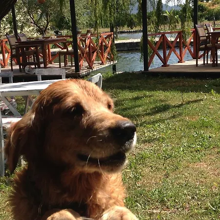 Otantik Tas Ev Panzió 3*