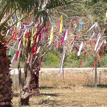 Bed and Breakfast Otantik Tas Ev