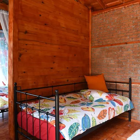 Otantik Tas Ev Bed and Breakfast Dalaman