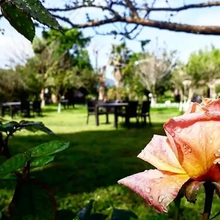 Bed and Breakfast Otantik Tas Ev 3*